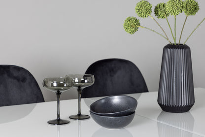 Spisebordsstol 2-pak Sort + Rektangulært Spisebord 120 x 90 Hvid