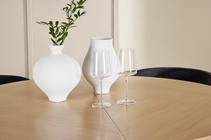 Spisebordsstol 2-pak Sort + Rektangulært spisebord 120 Whitewash